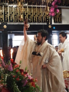 新西140228②西山