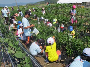 山口160801 (4)
