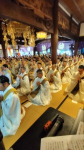 image_original (1)